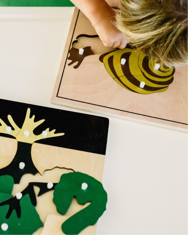 child plays with wooden puzzle of tree and snail at Montessori school