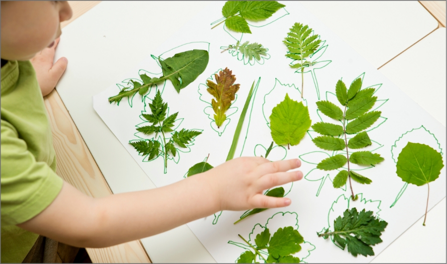 child lays various leaves on a table and outlines them with marker at a Montessori school
